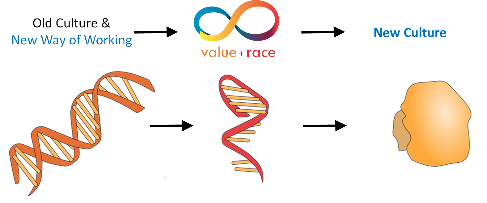 Value Race DNA Value Race DNA